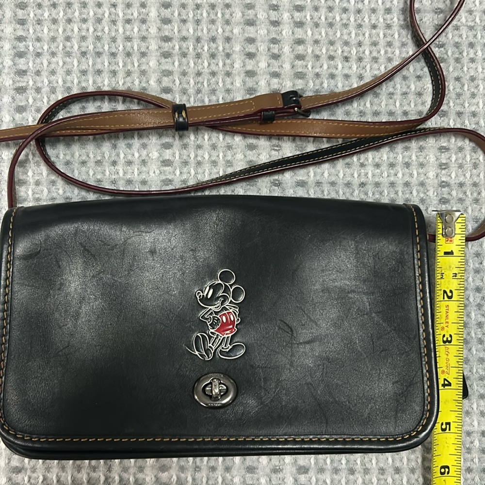 Disney Coach bag